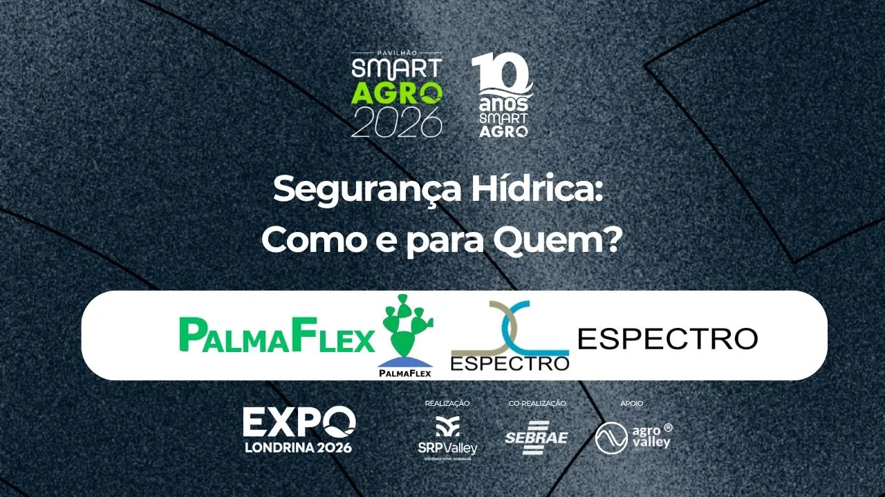 Segurança Hídrica: Como e para Quem?